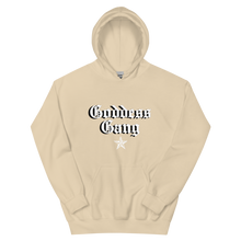 Load image into Gallery viewer, GODDESS GANG HOODIE PINK